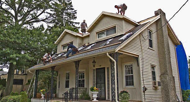 Best Flat Roof Repair Services  in Charlotte, TN